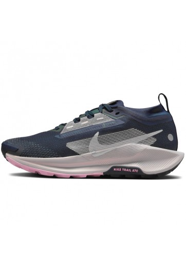 Incaltaminte Sport Nike W PEGASUS TRAIL 5 GTX