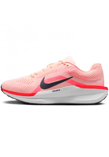 Incaltaminte Sport Nike WMNS AIR WINFLO 11