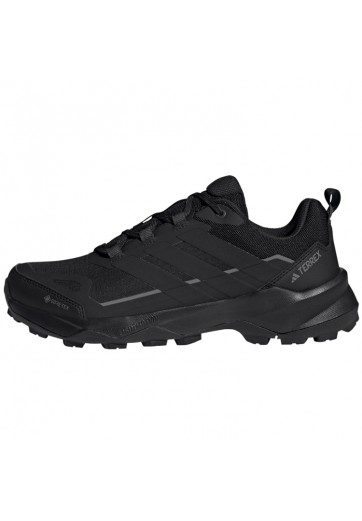 Кроссовки Adidas TERREX SKYCHASER AX5 GTX