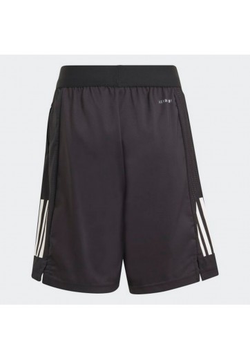 Sorti Adidas B XFG AR SH