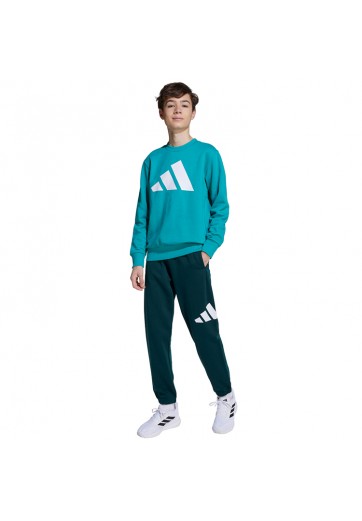 Спортивный костюм Adidas J BL FL JOG 240
