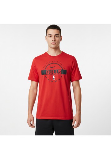Футболка Nike CHI M NK PRTC SS TEE